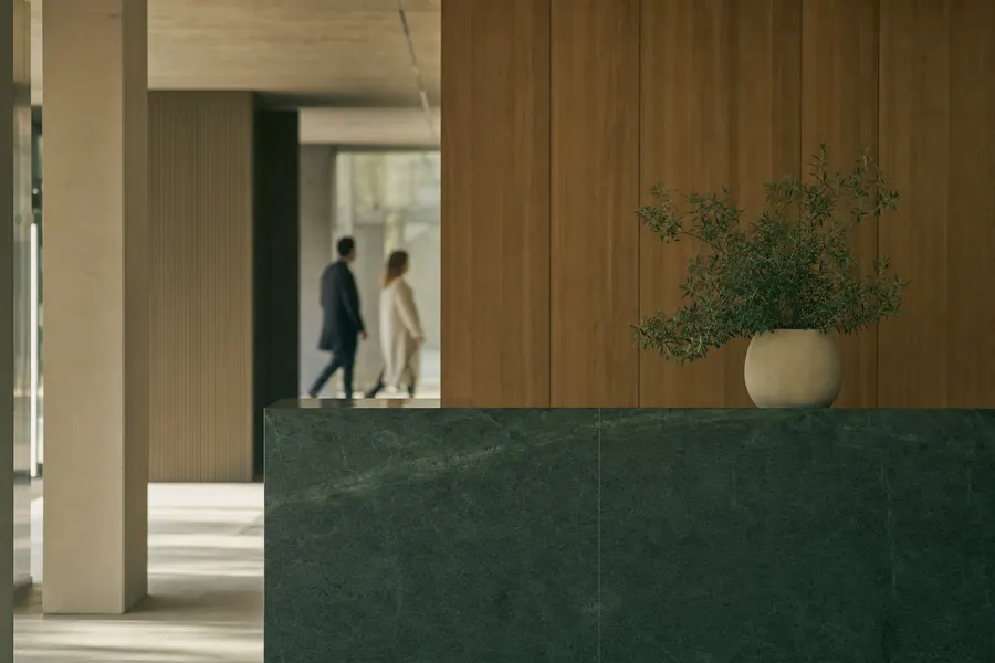 Recepción de empresa con mostrador y una planta